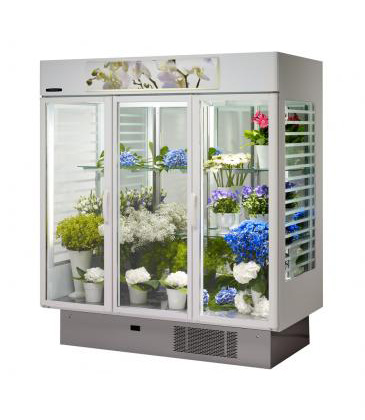 Холодильник для цветов 2060х1795